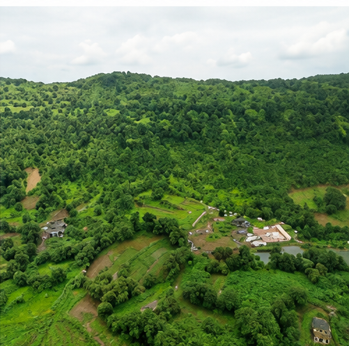 Karjat Sapele
