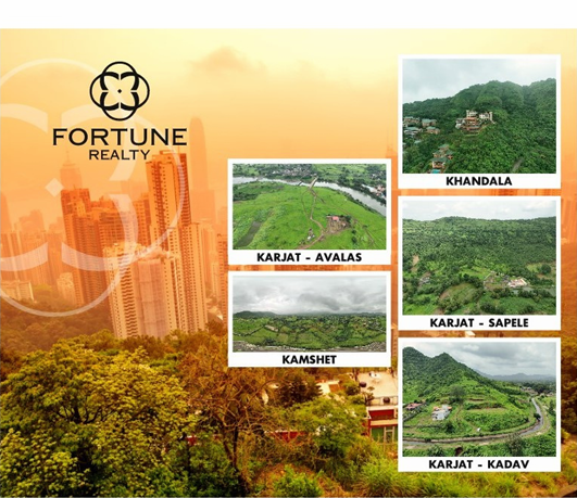 Fortune Realty